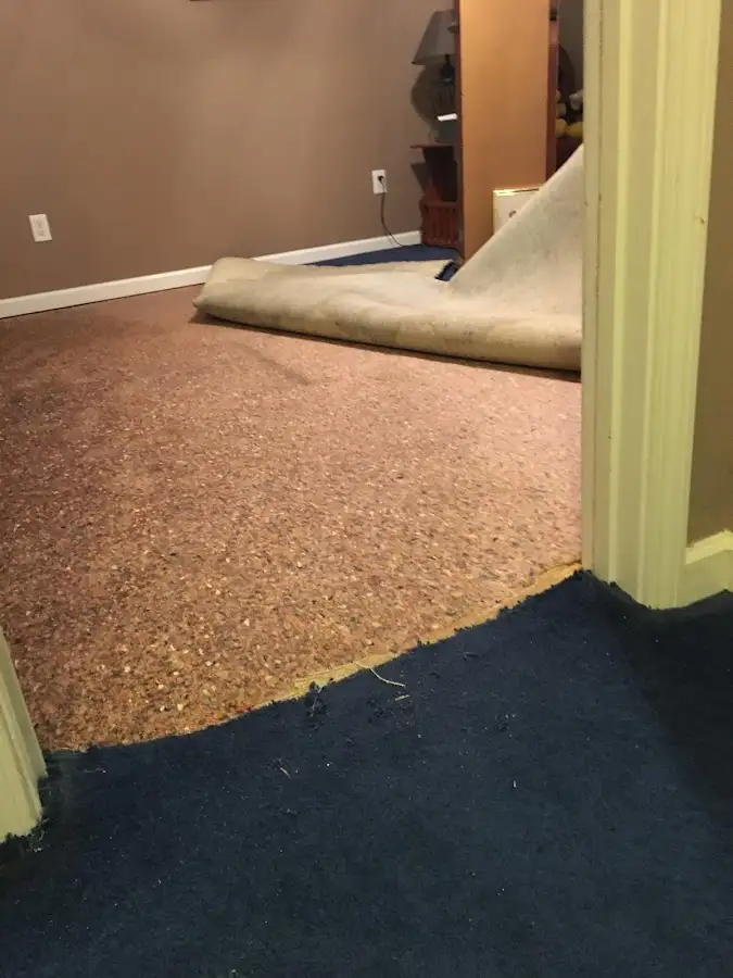 Carpet pad removal revealing water damage during Drying & Dehumidification in Mount Airy