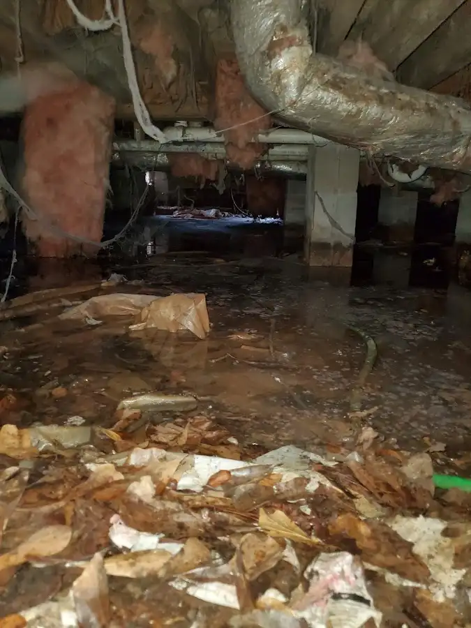 Crawl space flood assessment for Leak Detection & Repair in Mount Airy