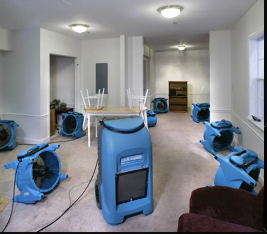 Air movers and dehumidifier setup for Water Extraction & Removal in Mount Airy